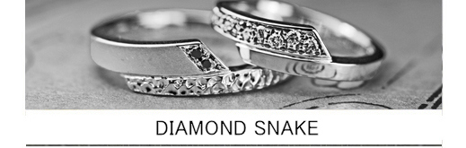 ダイヤモンドスネーク・結婚指輪をオーダーアレンジしたリングの画像