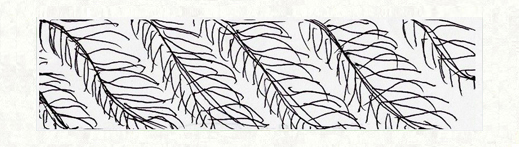 お客様が描いたミモザの葉脈模様のデザイン画