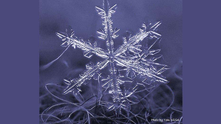 雪の結晶のデザイン