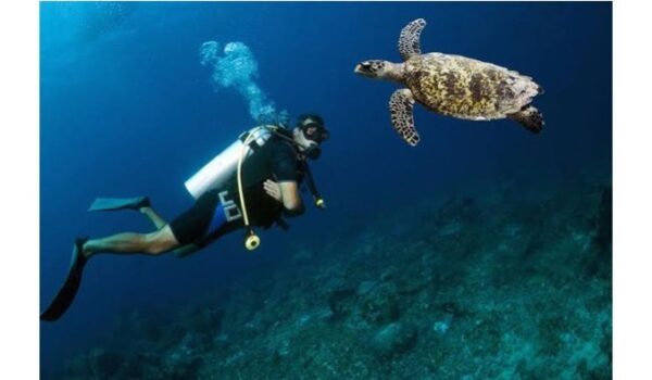 結婚指輪に入れる海のデザインを考える画