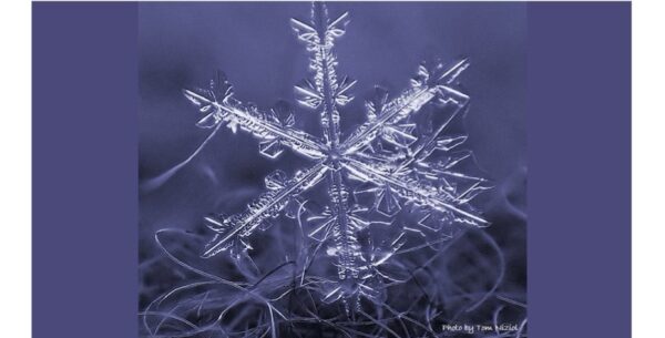 雪の結晶のデザイン