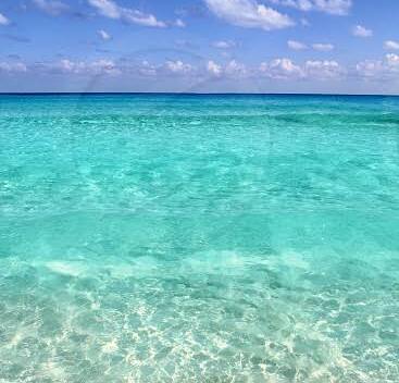 一度でも南の島に行ったことがあれば、目に焼き付いて離れない、あのブルーグリーンの海の色です。