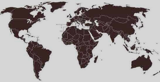  ヨーロッパ仕様の世界地図を結婚指輪に入れる